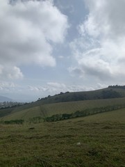 Montana