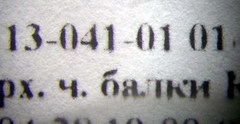 Plagiolepis pallescens