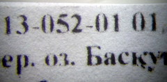 Plagiolepis pallescens