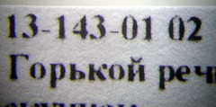 Plagiolepis pallescens