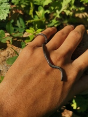 Epictia vindumi