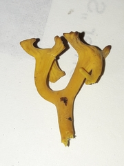 Clavulinopsis corniculata