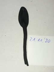 Trichoglossum hirsutum