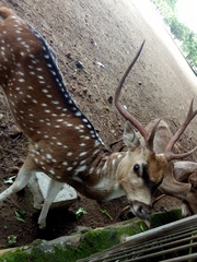 Axis axis