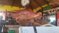 Lachnolaimus maximus