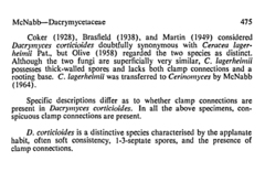 Dacrymyces corticioides