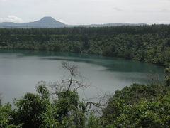 Pseudagrion spernatum