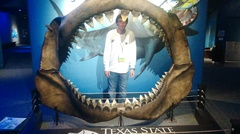 Carcharodon megalodon
