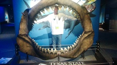 Carcharodon megalodon