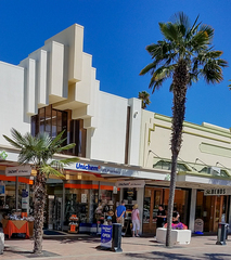 Trachycarpus fortunei