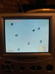 Inocybe pallidicremea