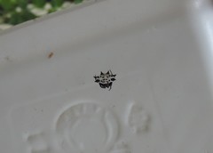 Gasteracantha cancriformis