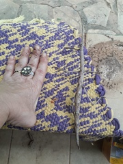 Cladomorphus trimariensis