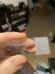 Inocybe pallidicremea