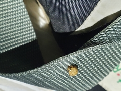 Harmonia sedecimnotata