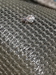 Spatulosminthurus lesnei