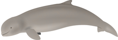Irrawaddy Dolphin photo 4