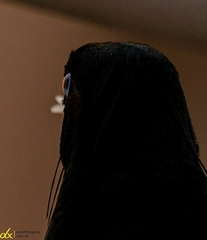 Psarocolius decumanus