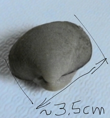 Monocondylaea jaspidea