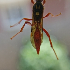 Degithina
