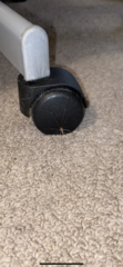 Araneae