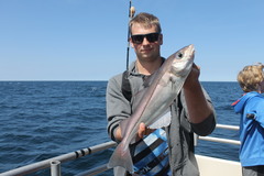 Haddock photo 5