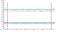 Oecanthus celerinictus