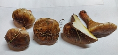 Suillus bellinii
