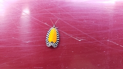 Pseudatteria heliocausta