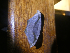 Oxydia scriptipennaria