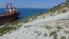 Matthiola odoratissima