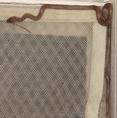 Lycodon anamallensis