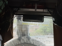 Chlorocebus pygerythrus pygerythrus