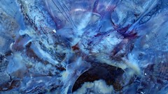 Pseudorhiza haeckeli