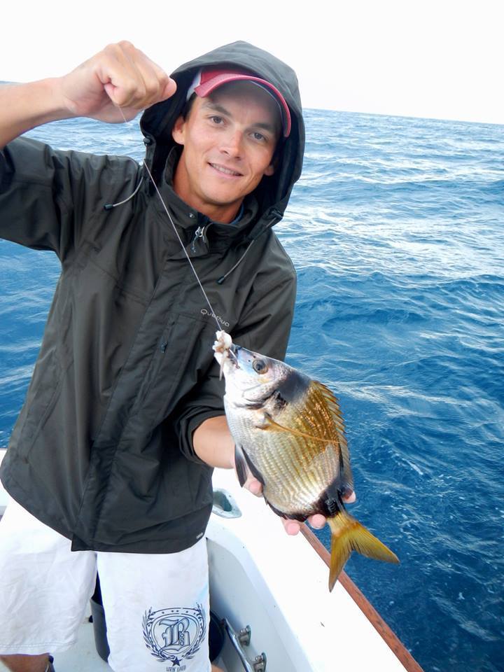 Photo of Common two-banded seabream (Diplodus vulgaris)