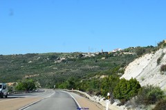 Matthiola fruticulosa