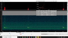 Nyctalus plancyi velutinus