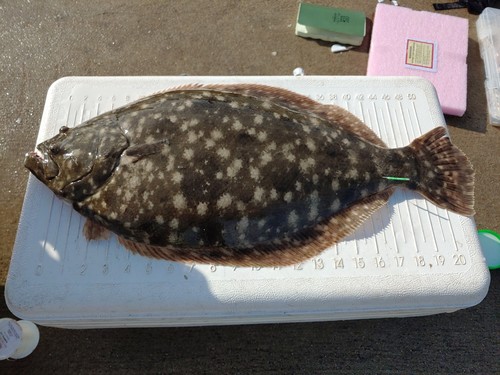 Southern Flounder
