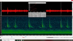 Myotis formosus flavus