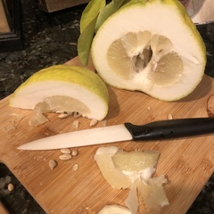 Citrus × pyriformis