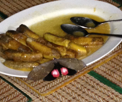 Phyllodes consobrina