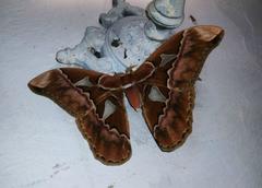Rothschildia speculifer