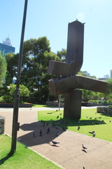 Columba livia domestica