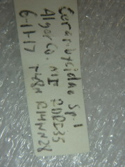 Sachalinobia rugipennis