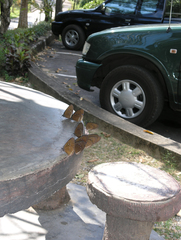 Euploea sylvester harrisii