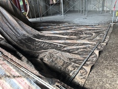 Hipposideros armiger terasensis