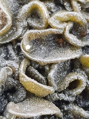 Lathagrium auriforme