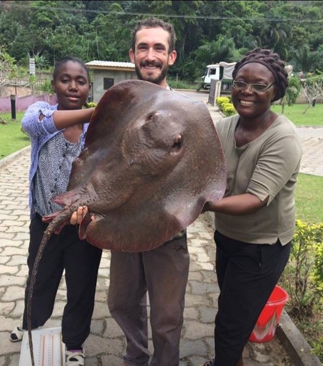 Fontitrygon Ukpam Smith 1863 