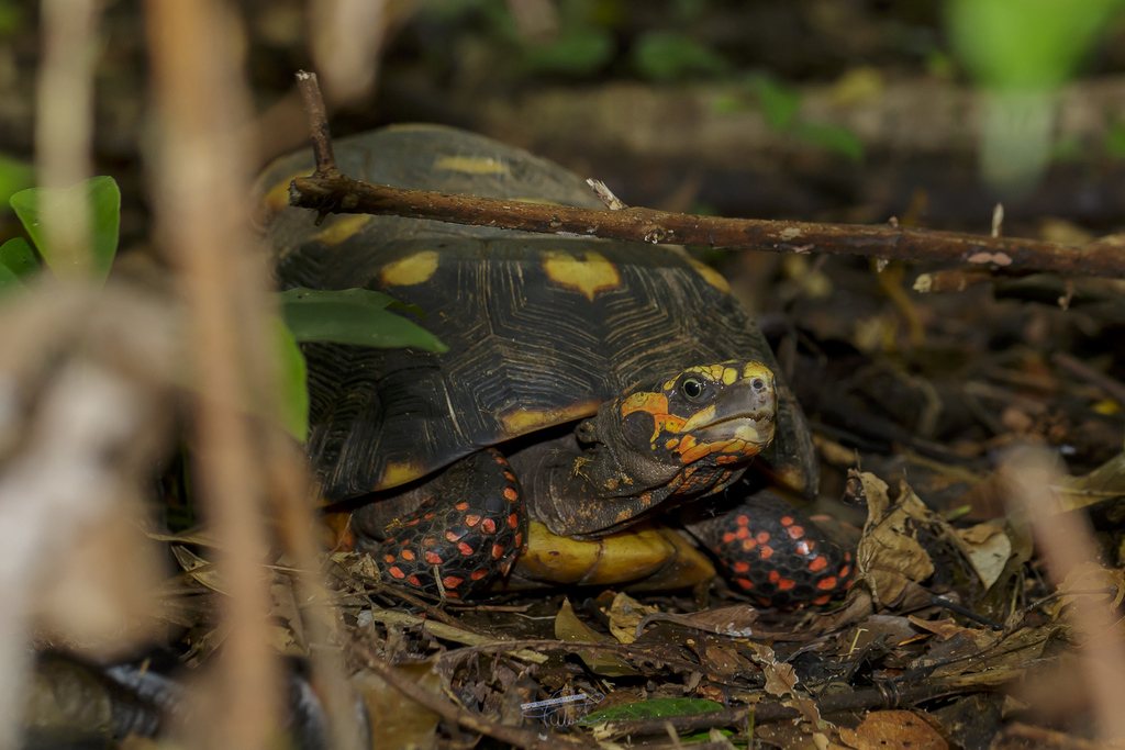 Photo by Thomas Fuhrmann