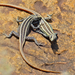 Platysaurus intermedius wilhelmi - Photo (c) Bernard DUPONT, μερικά δικαιώματα διατηρούνται (CC BY-SA)
